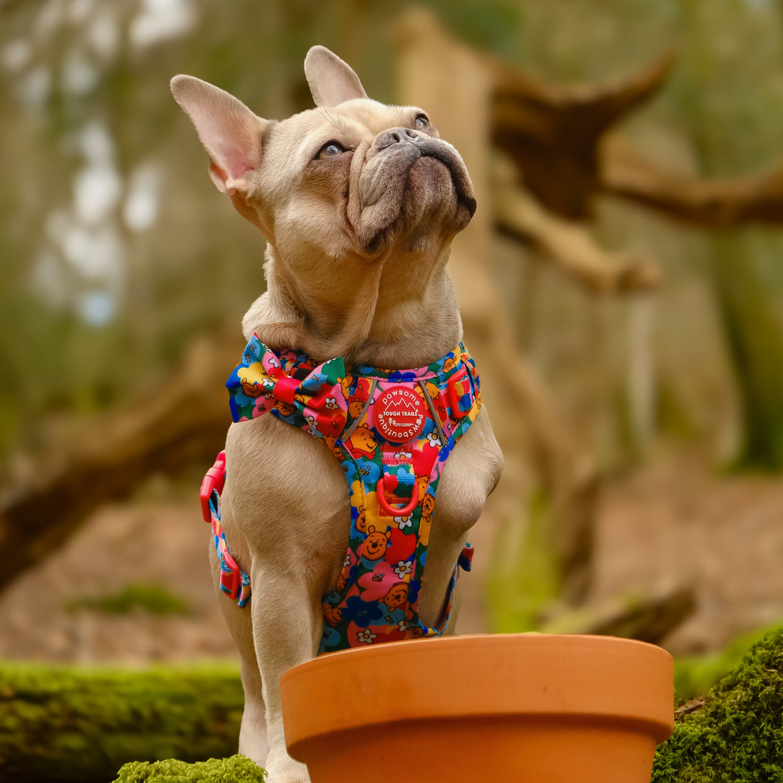 Disney© Bow Tie - Winnie Goes Retro