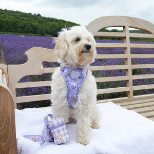 Disney© Treat Pouch - Bambi + Friends Lilac