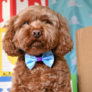 Disney© Bow Tie - Buzz Lightyear