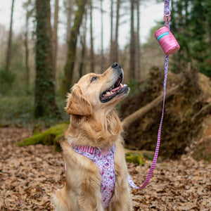 Disney© Treat Pouch - Piglet