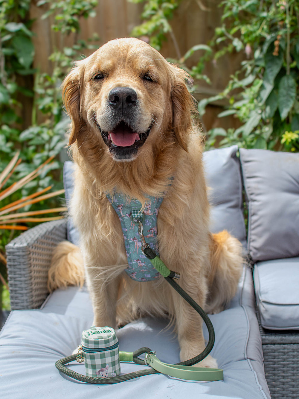 4ft Rope Lead - Khaki