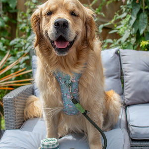4ft Rope Lead - Khaki