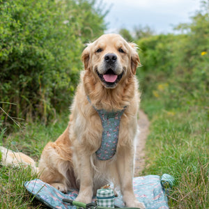 Disney© Travel Mat - Bambi + Thumper