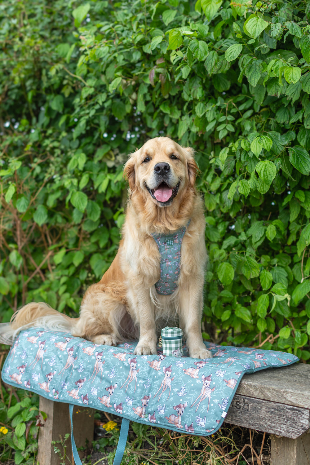 Disney© Travel Mat - Bambi + Thumper