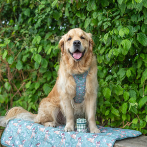 Disney© Travel Mat - Bambi + Thumper