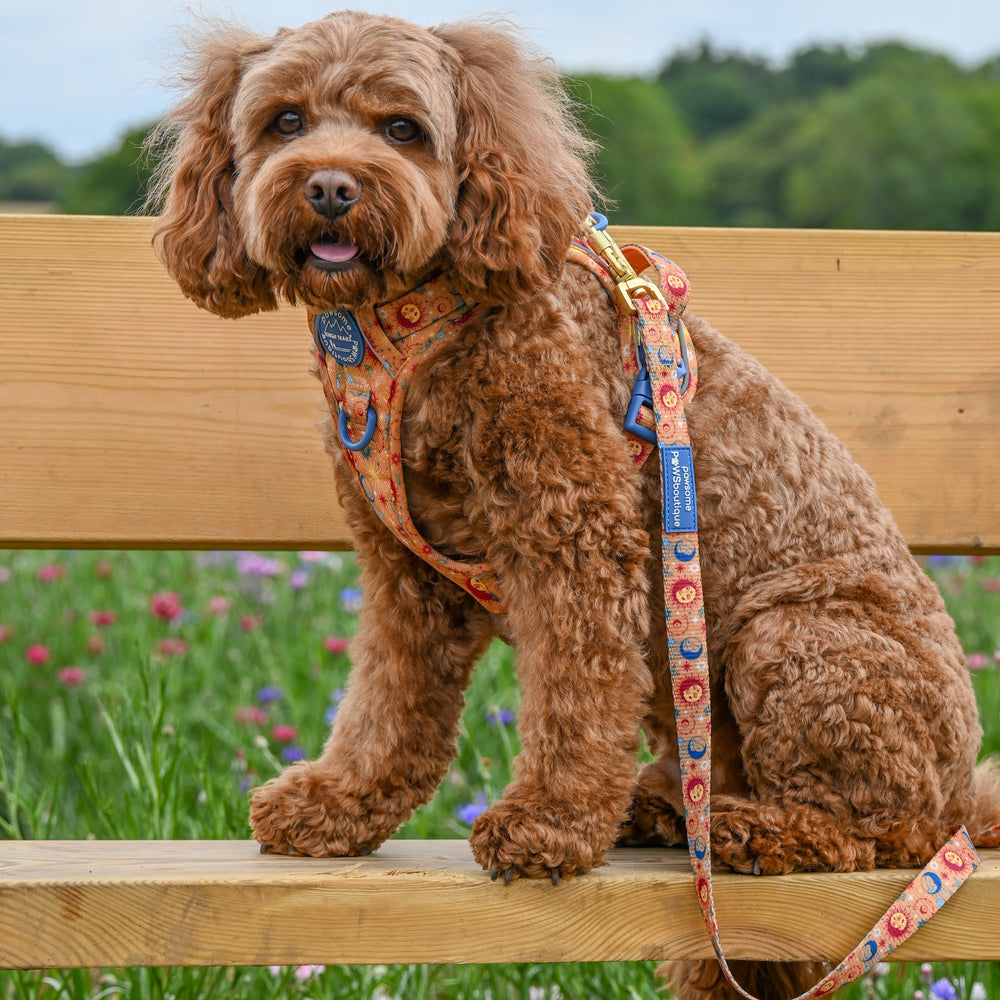 Lead - Celestial Spirit