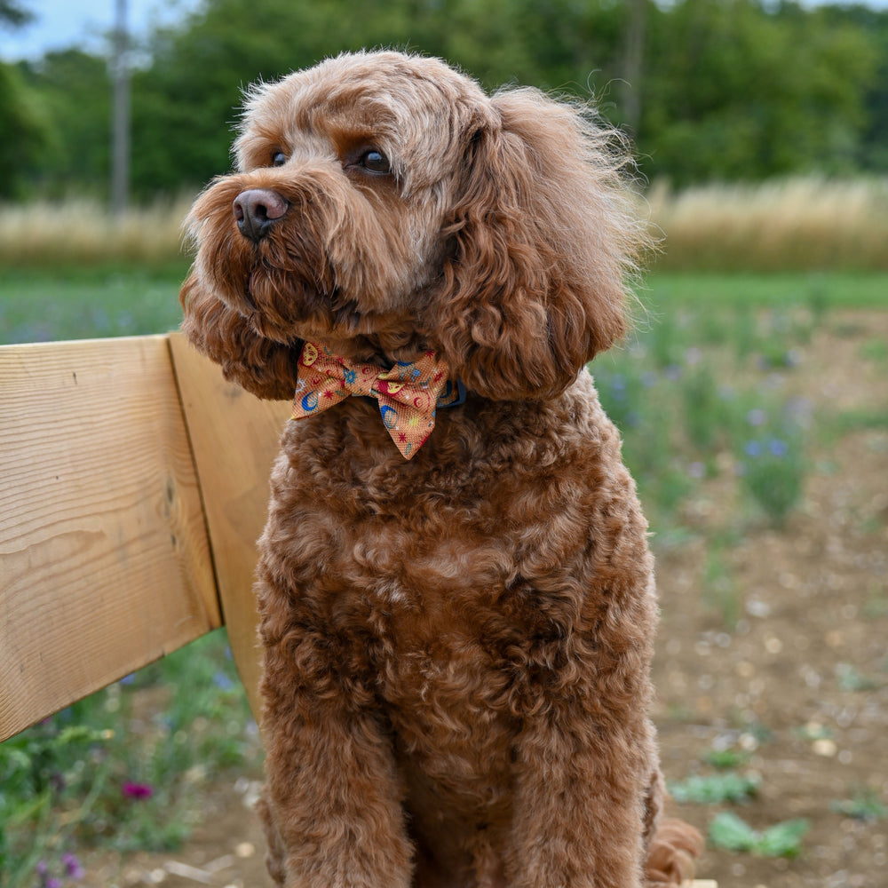 Bow Tie - Celestial Spirit