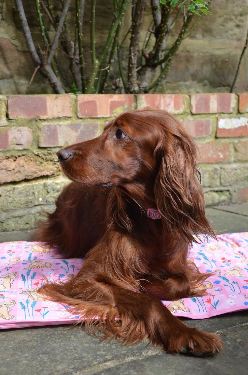 Disney© Travel Mat - Nala