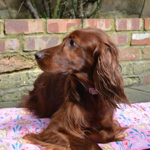 Disney© Travel Mat - Nala