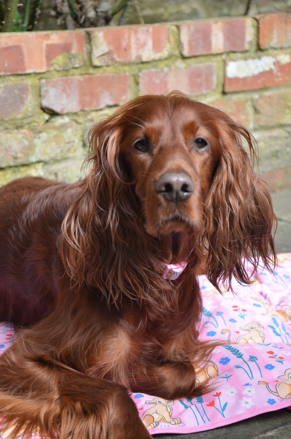 Disney© Travel Mat - Nala