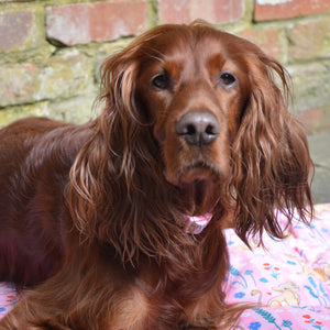 Disney© Travel Mat - Nala