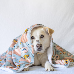 Disney© Dog Blanket - Lion Friends