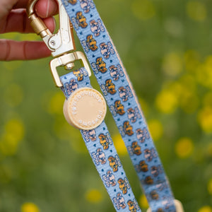 Disney© Lead - Lion Friends