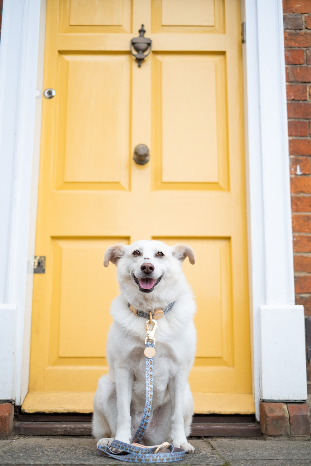 Disney© Lead - Lion Friends