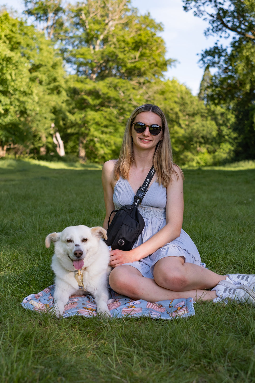 Disney© Dog Blanket - Lion Friends