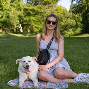 Disney© Dog Blanket - Lion Friends