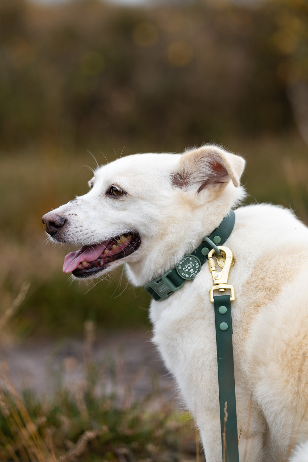 4ft Waterproof Lead - Walkies Ready® Forest Green