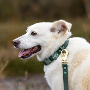 4ft Waterproof Lead - Walkies Ready® Forest Green