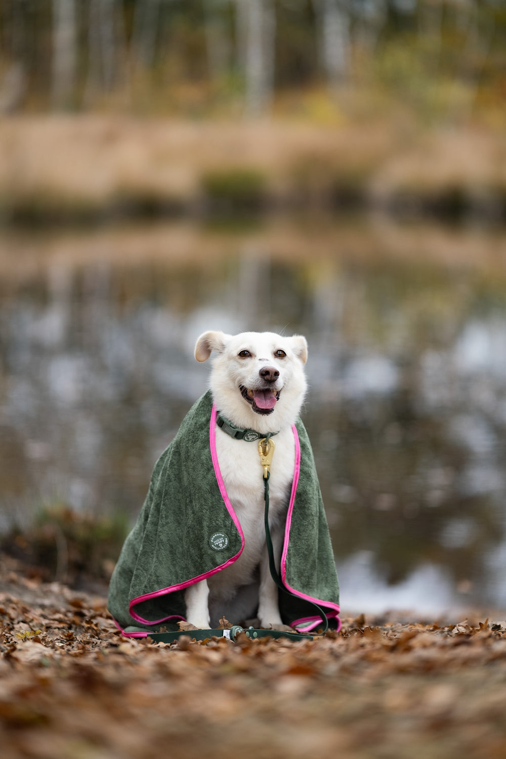 Microfibre Towel - Walkies Ready®