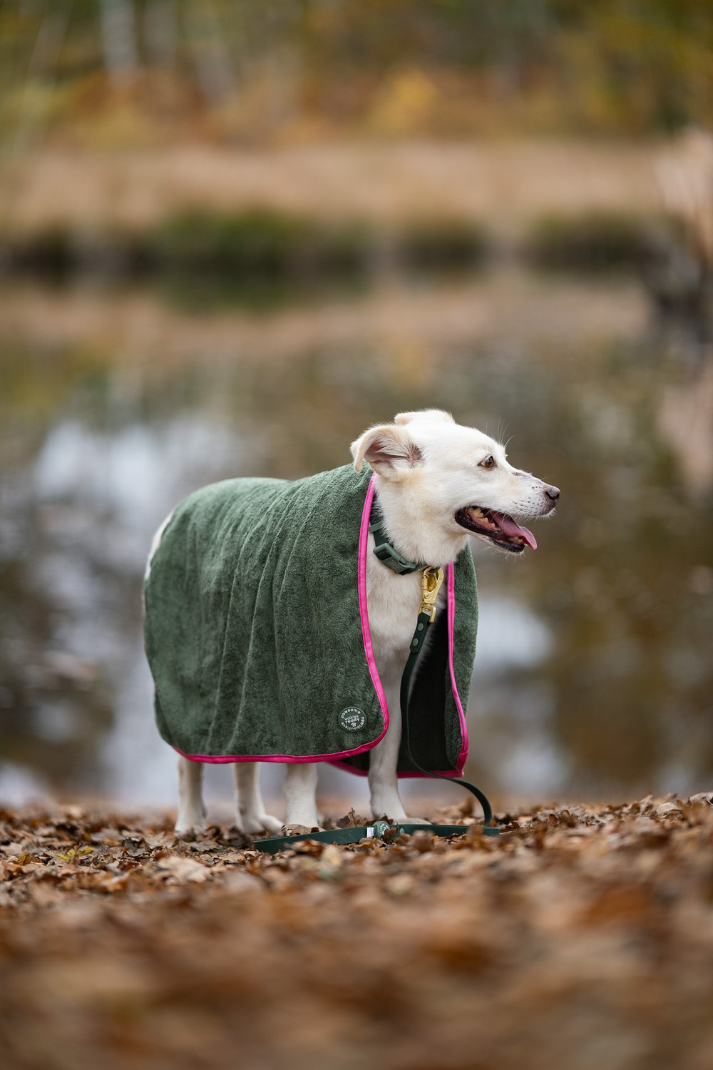 Microfibre Towel - Walkies Ready®