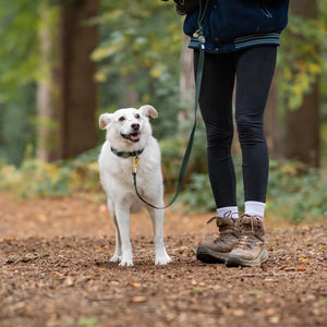 4ft Waterproof Lead - Walkies Ready® Forest Green