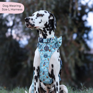 Disney© Tough Trails™ Harness - Santas Mickey Mail