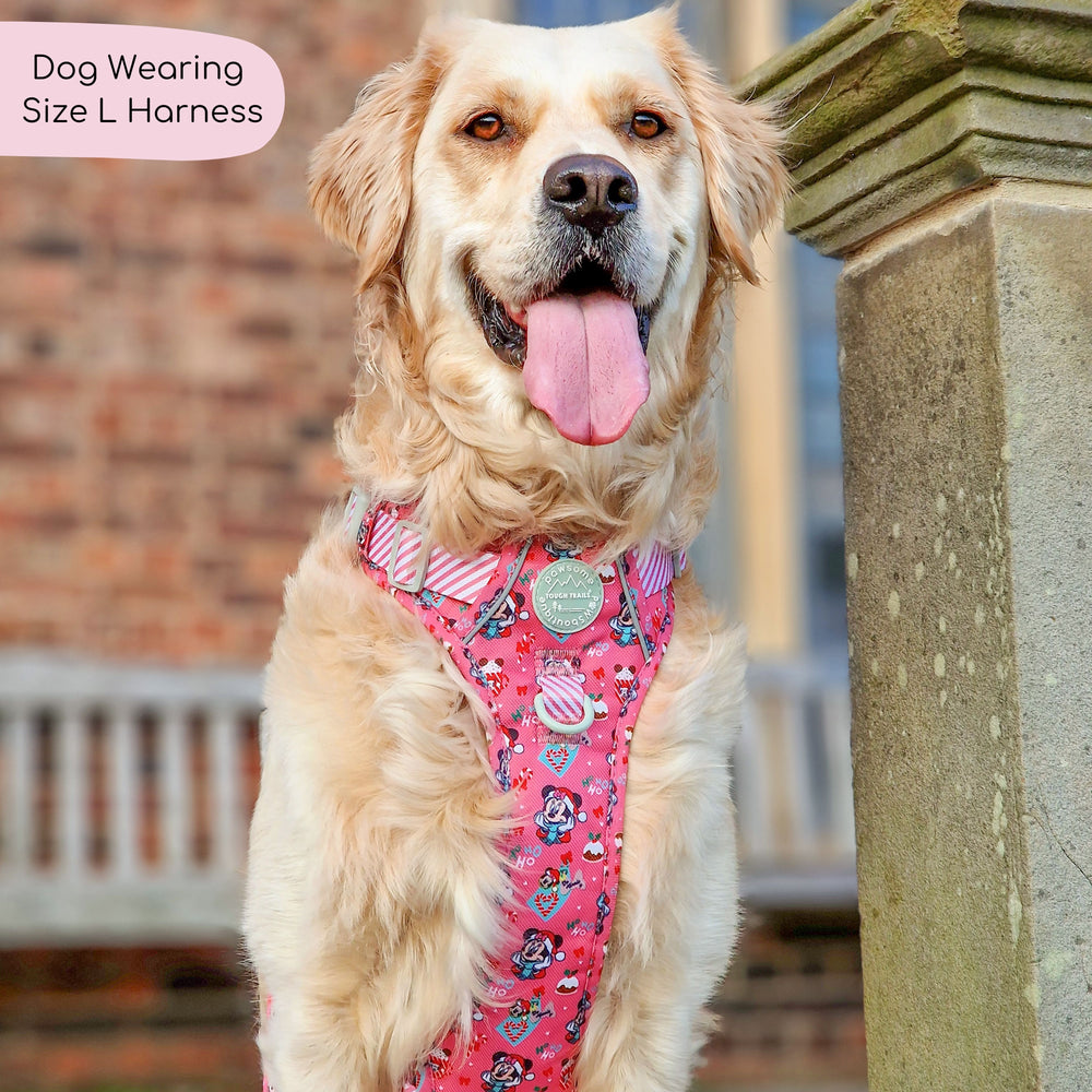 Disney© Tough Trails™ Harness -  Minnie's Christmas