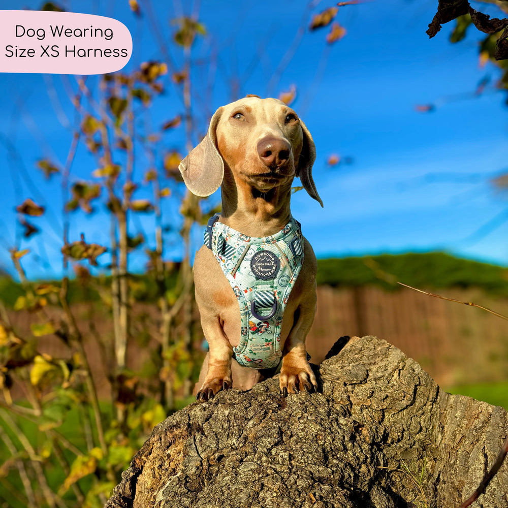 Disney© Tough Trails™ Harness - Santas Mickey Mail