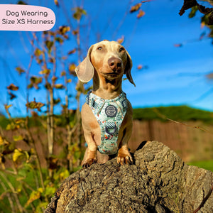 Disney© Tough Trails™ Harness - Santas Mickey Mail