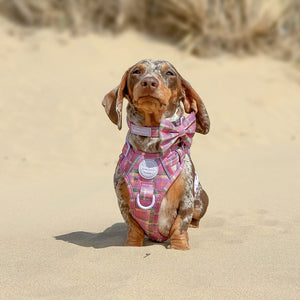 Bow Tie - Tweed Sunset