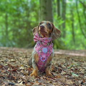 Bow Tie - Tweed Sunset