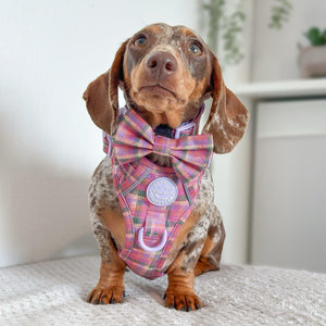 Bow Tie - Tweed Sunset