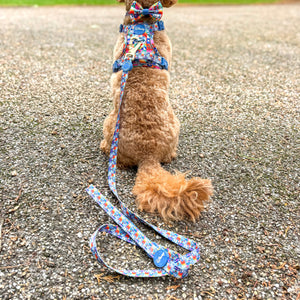 Disney© Lead - Lady + The Tramp