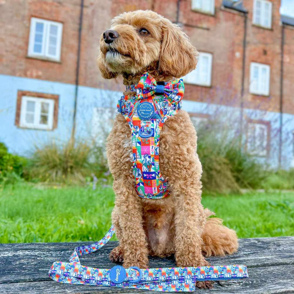 Disney© Bow Tie - Lady + The Tramp