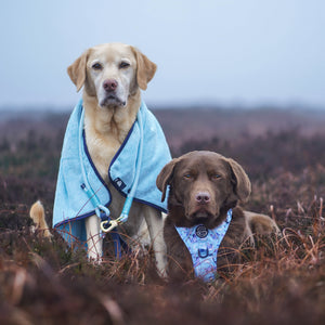 Disney© Microfibre Towel - Eeyore