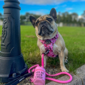 Treat Pouch - Mean Girls