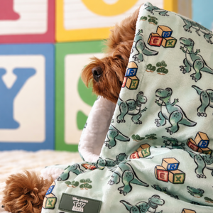 Disney© Dog Blanket - Rex