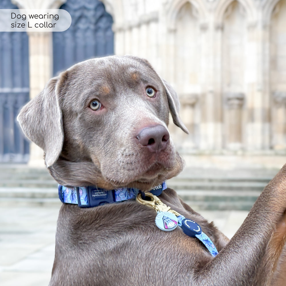 Disney© Collar - Eeyore