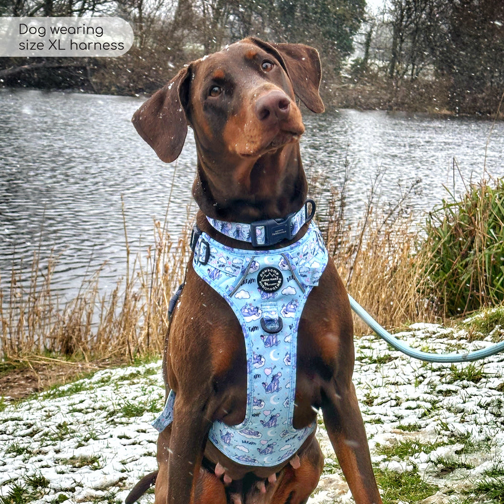 Disney© Tough Trails™ Harness - Eeyore