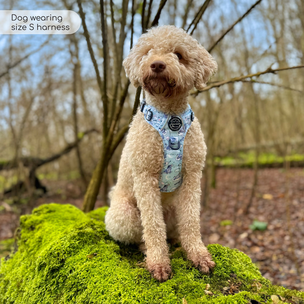 Disney© Tough Trails™ Harness - Eeyore