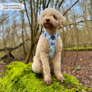 Disney© Tough Trails™ Harness - Eeyore