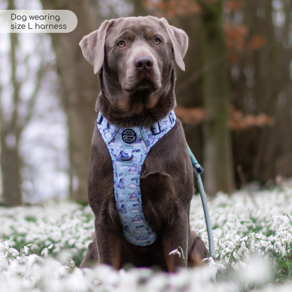 Disney© Tough Trails™ Harness - Eeyore
