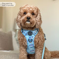 Disney© Tough Trails™ Harness - Eeyore