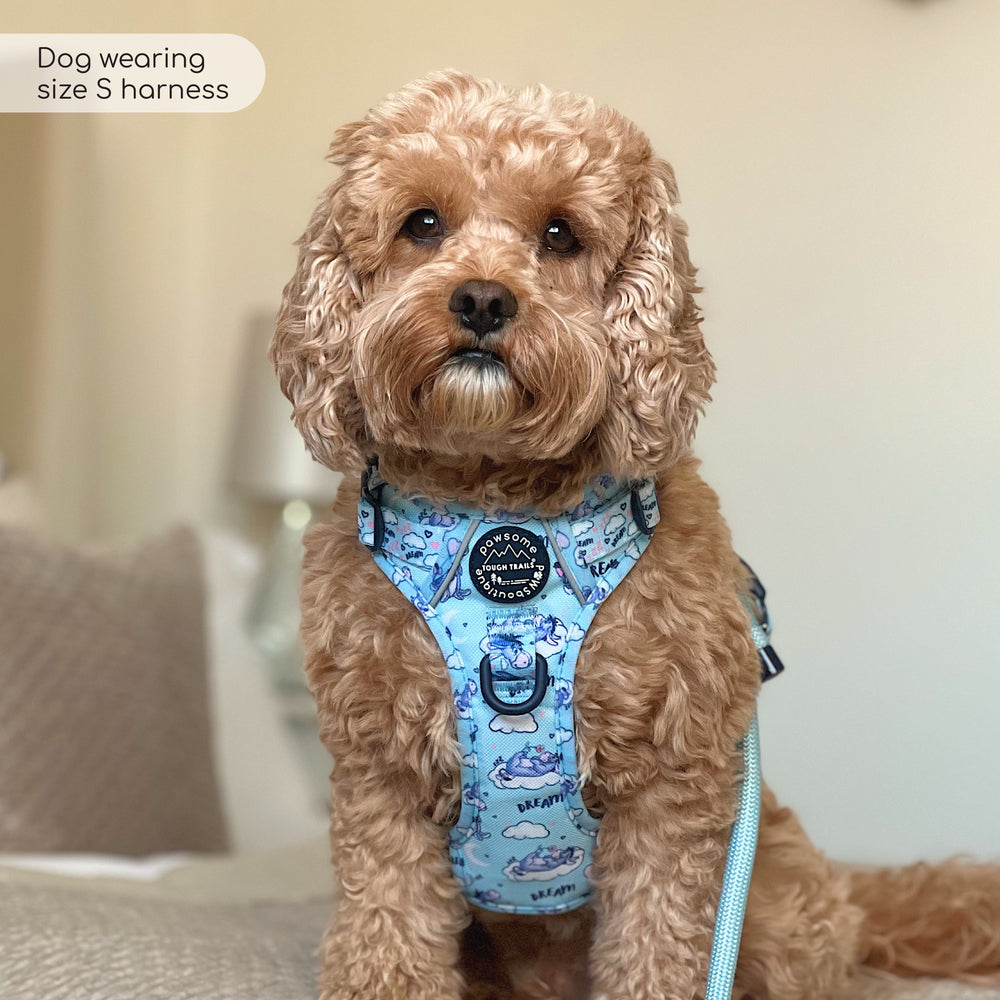 Disney© Tough Trails™ Harness - Eeyore