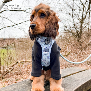 Disney© Tough Trails™ Harness - Eeyore