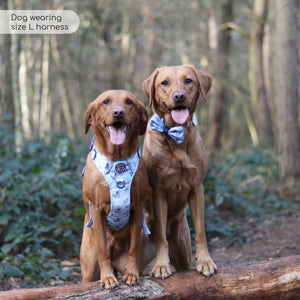 Disney© Tough Trails™ Harness - Eeyore