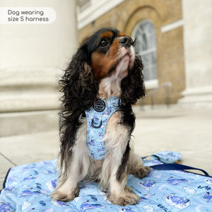Disney© Tough Trails™ Harness - Eeyore