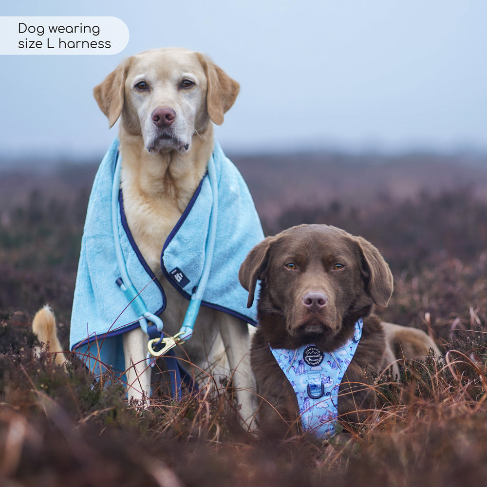 Disney© Tough Trails™ Harness - Eeyore