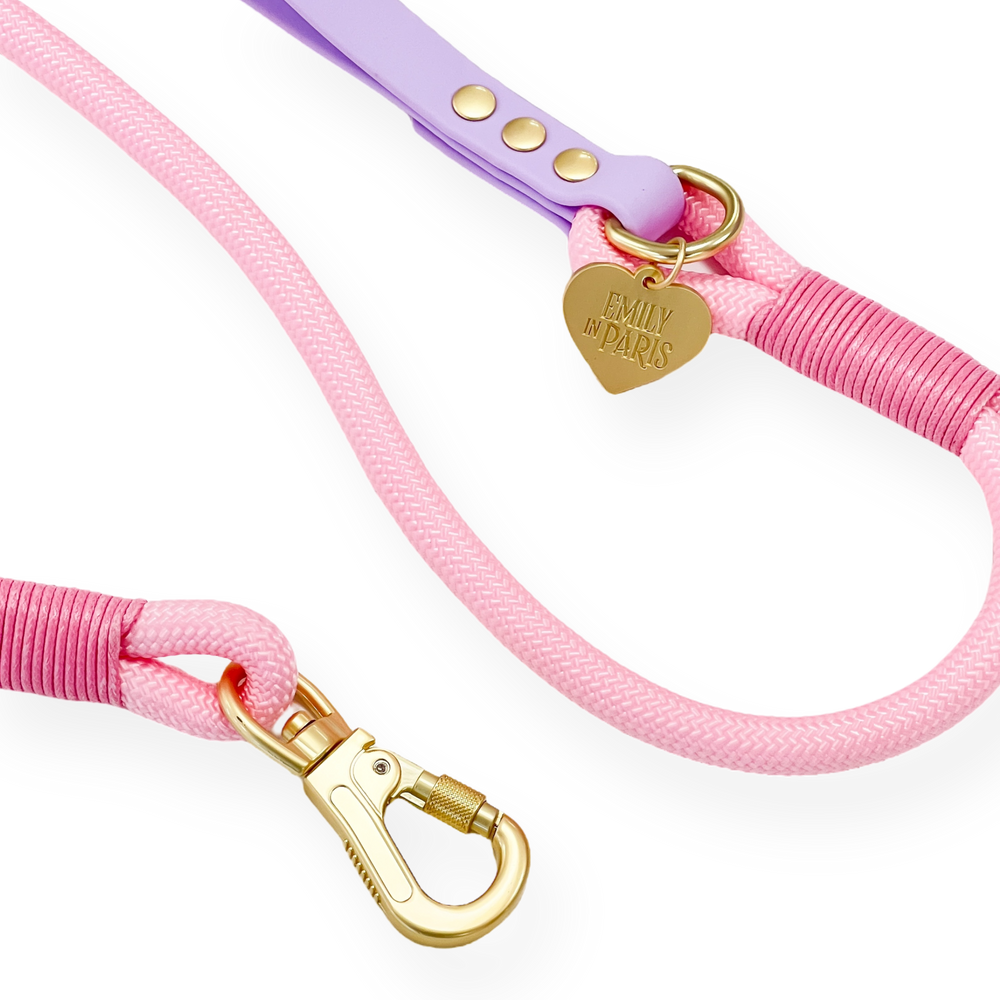 4ft Rope Lead - Emily In Paris