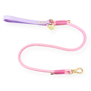 4ft Rope Lead - Emily In Paris